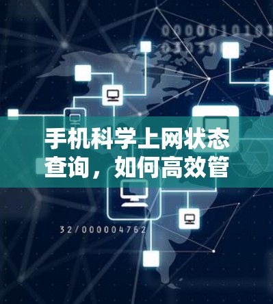 手机科学上网状态查询，如何高效管理服务器文件