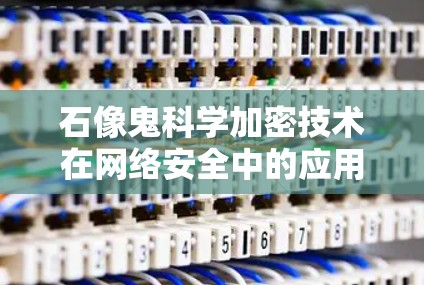石像鬼科学加密技术在网络安全中的应用与挑战