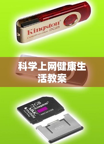 科学上网健康生活教案