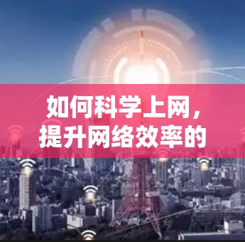 如何科学上网，提升网络效率的实用指南