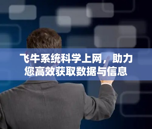 飞牛系统科学上网，助力您高效获取数据与信息