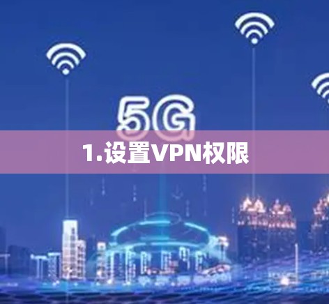 1.设置VPN权限