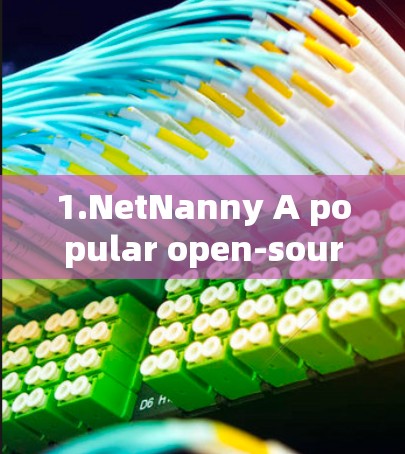 1.NetNanny A popular open-source VPN service.