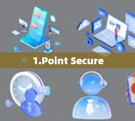 1.Point Secure
