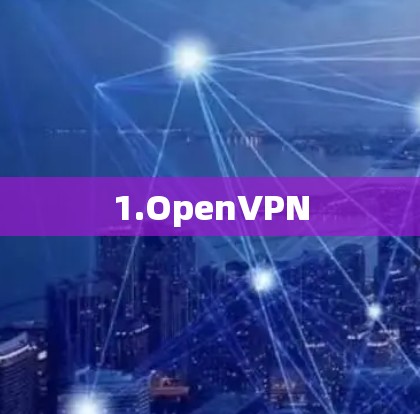 1.OpenVPN 1.OpenVPN