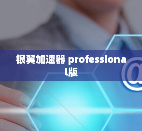 银翼加速器 professional版