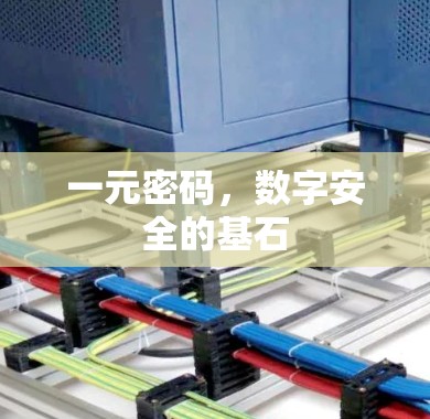 一元密码，数字安全的基石