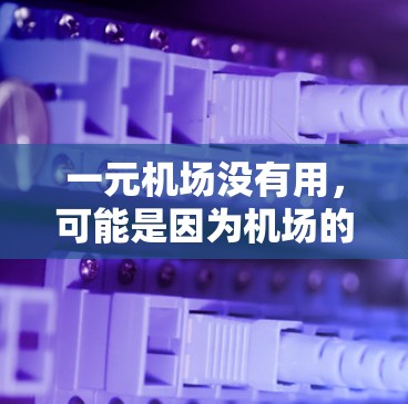 一元机场没有用，可能是因为机场的位置不够方便，或者设施不够完善。以下是一些可能的优化建议