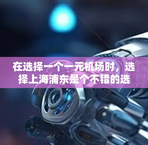 在选择一个一元机场时，选择上海浦东是个不错的选择，因为它以其独特的优势吸引了大量游客。以下是详细的推荐方案