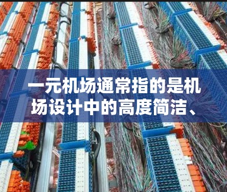 一元机场通常指的是机场设计中的高度简洁、功能单一、美学独特的建筑风格，强调机场的设计效率和功能性，而不仅仅是美观。这种设计风格常用于高端机场，以减少干扰，提高旅客的使用体验
