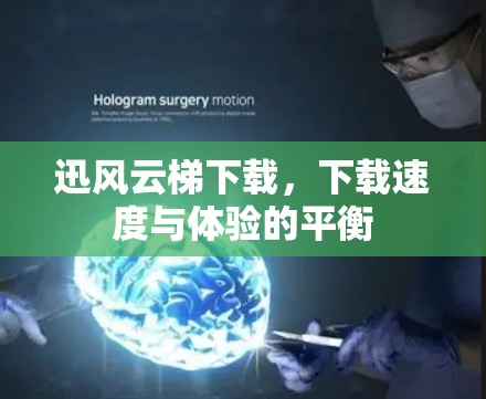 迅风云梯下载，下载速度与体验的平衡