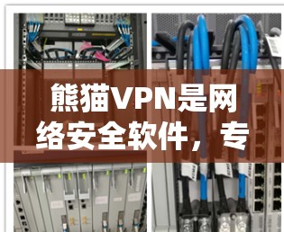 熊猫VPN是网络安全软件，专为保护用户和机构的安全而设计的。它通过数据加密、流量管理等技术，防止网络攻击和数据泄露。以下是下载熊猫VPN的步骤和注意事项