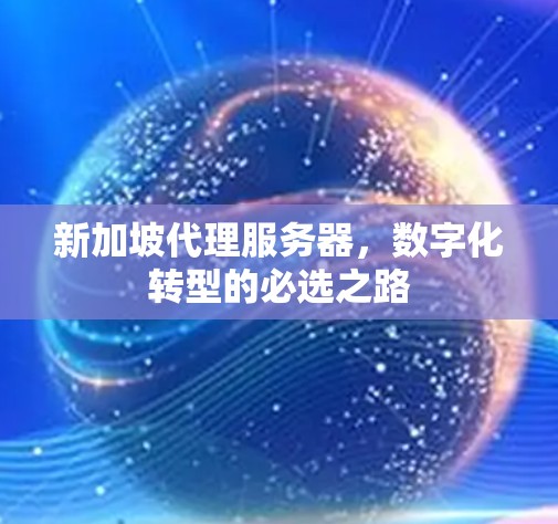 新加坡代理服务器，数字化转型的必选之路