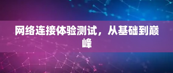 网络连接体验测试，从基础到巅峰