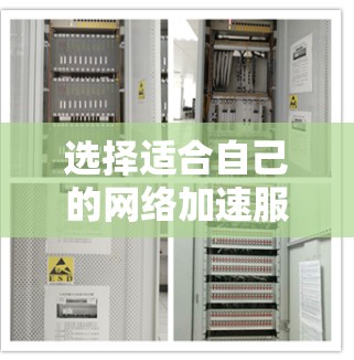 选择适合自己的网络加速服务需要综合考虑多个因素，包括需求、设备配置、价格、功能、网络连接稳定性以及维护维护频率。以下是根据这些因素整理出的建议