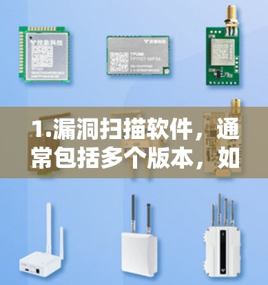 1.漏洞扫描软件，通常包括多个版本，如V1、V2、V3等，每个版本可能有更强的漏洞扫描能力，包括更多漏洞检测、反毒软件和多平台支持