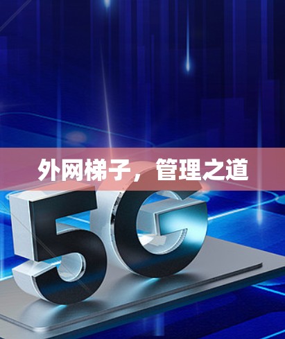 外网梯子，管理之道