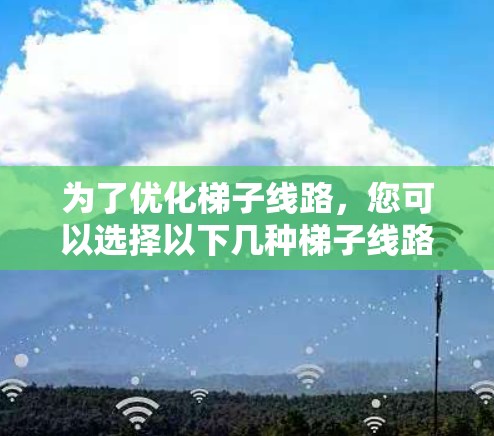 为了优化梯子线路，您可以选择以下几种梯子线路优化工具，并根据需要调整其功能