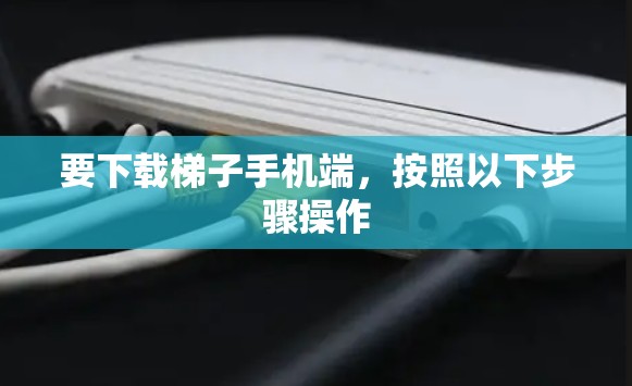 要下载梯子手机端,按照以下步骤操作 要下载梯子手机端,按照以下步骤操作