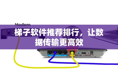 梯子软件推荐排行，让数据传输更高效