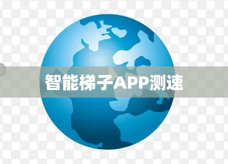 智能梯子APP测速