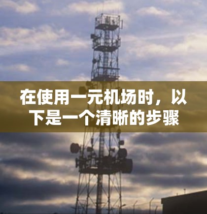 在使用一元机场时，以下是一个清晰的步骤指南