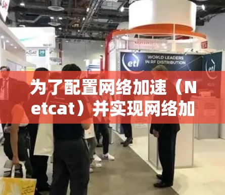 为了配置网络加速（Netcat）并实现网络加速，您可以按照以下步骤操作