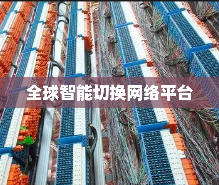 全球智能切换网络平台