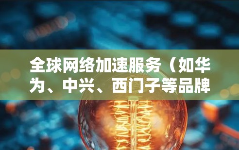 全球网络加速服务（如华为、中兴、西门子等品牌）是为了提升网络连接速度而推出的加速软件。这些服务通常通过硬件加速、软件优化或网络连接技术来提升数据传输速度。以下是对这些全球网络加速服务体验与速度的分析