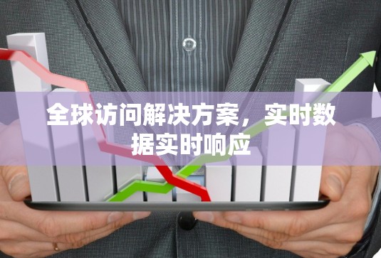 全球访问解决方案，实时数据实时响应