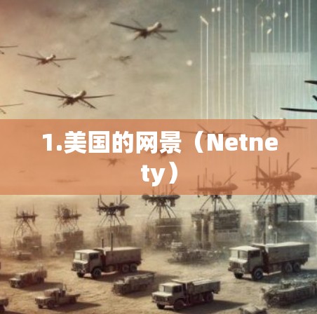 1.美国的网景（Netnety）