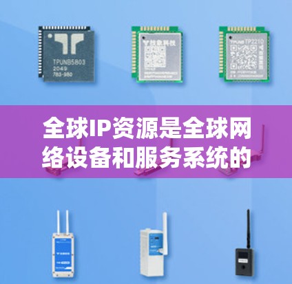 全球IP资源是全球网络设备和服务系统的核心基础设施，确保了全球互联网的运行和访问。以下是关于全球IP资源的详细分析