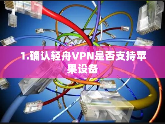1.确认轻舟VPN是否支持苹果设备